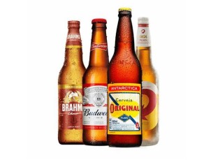 Cerveja Garrafas 600ml