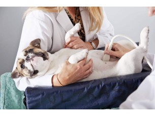 Exames laboratoriais