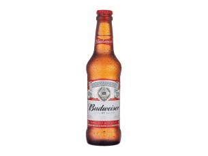 Cerveja Budweiser long neck