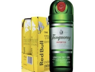 Combo com Gin Tanqueray London Dry 750ml + 04 Red Bull + 04 Gelo Saborizado