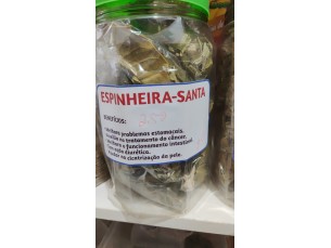 Espinheira santa