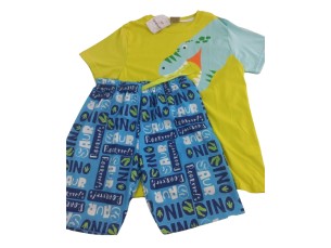 Conjunto infantil masculino dinossauro