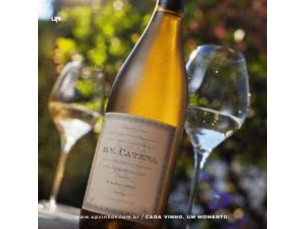 Dv Catena Chardonnay 