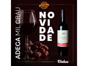 Condor Millaman Cabernet Sauvignon 2019