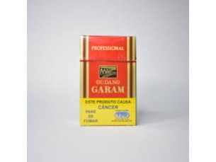  Gudang Garam