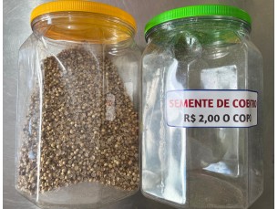 Semente de coentro copo