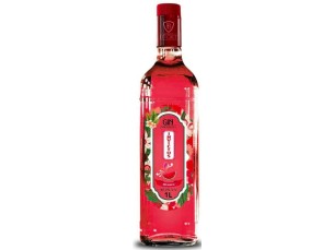 GIN INVICTUS MELANCIA