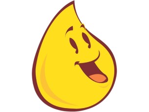 MONTE 2 SABORES POR R$ 70,00