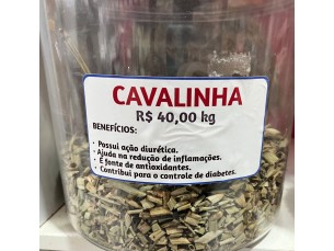 Cavalinha 