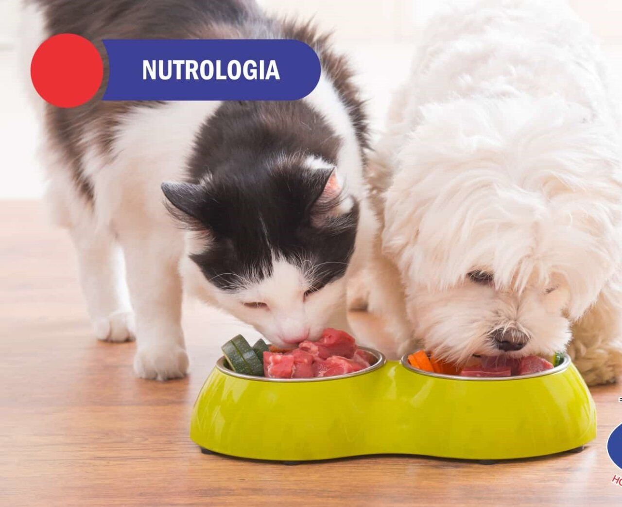 GI RAÇÕES BANHO & TOSA