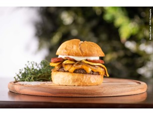 CACHOEIRA DA PURIFICAÇÃO