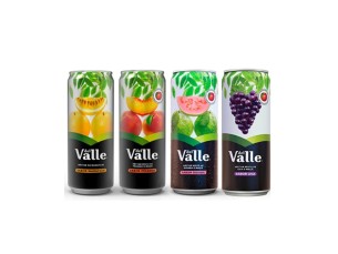 SUCO DEL VALLE