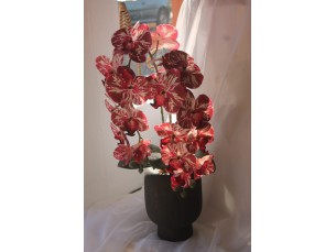 Arranjo orquídeas 3d realista rajada