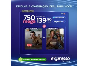 PLANO SILVER - 750 MEGA